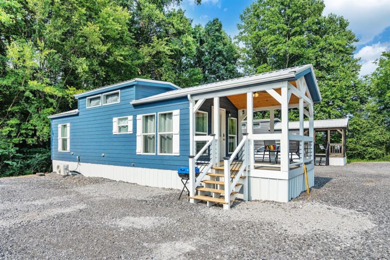 2 D'azur Luxury Tiny House Mins To Guntersville, Downtown, Firepit * Guntersville